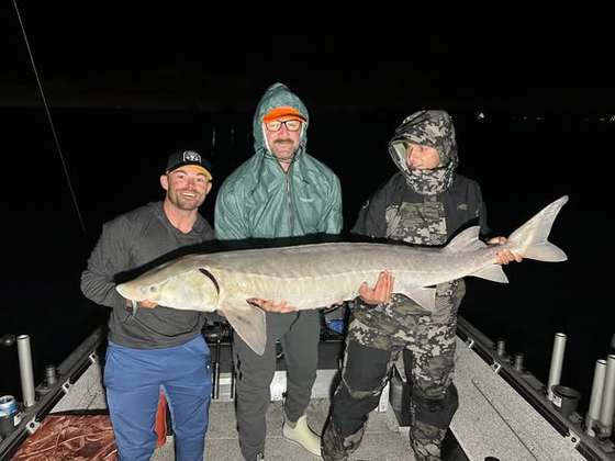 Night sturgeon β the river giant